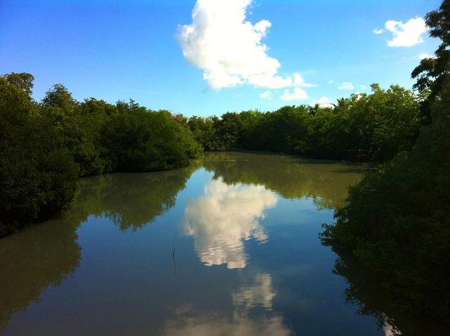 Caño Martín Peña Nature Reserve